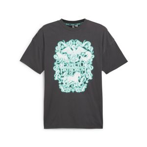 PUMA POLERA HARRY POTTER TEE I