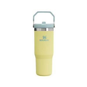 STANLEY BOTELLA TUMBLER FLIPSTRAW 890 ML POMELO