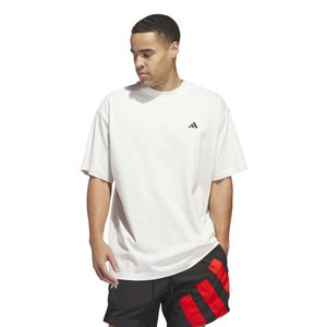 ADIDAS POLERA ANT GFX TEE