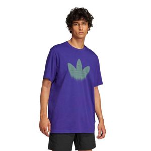 ADIDAS POLERA SKELETON TR TEE