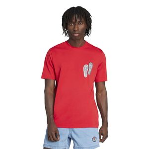 ADIDAS POLERA GRAPHIC LO SS T