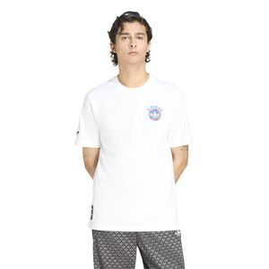 ADIDAS POLERA FTBL GFX SS T